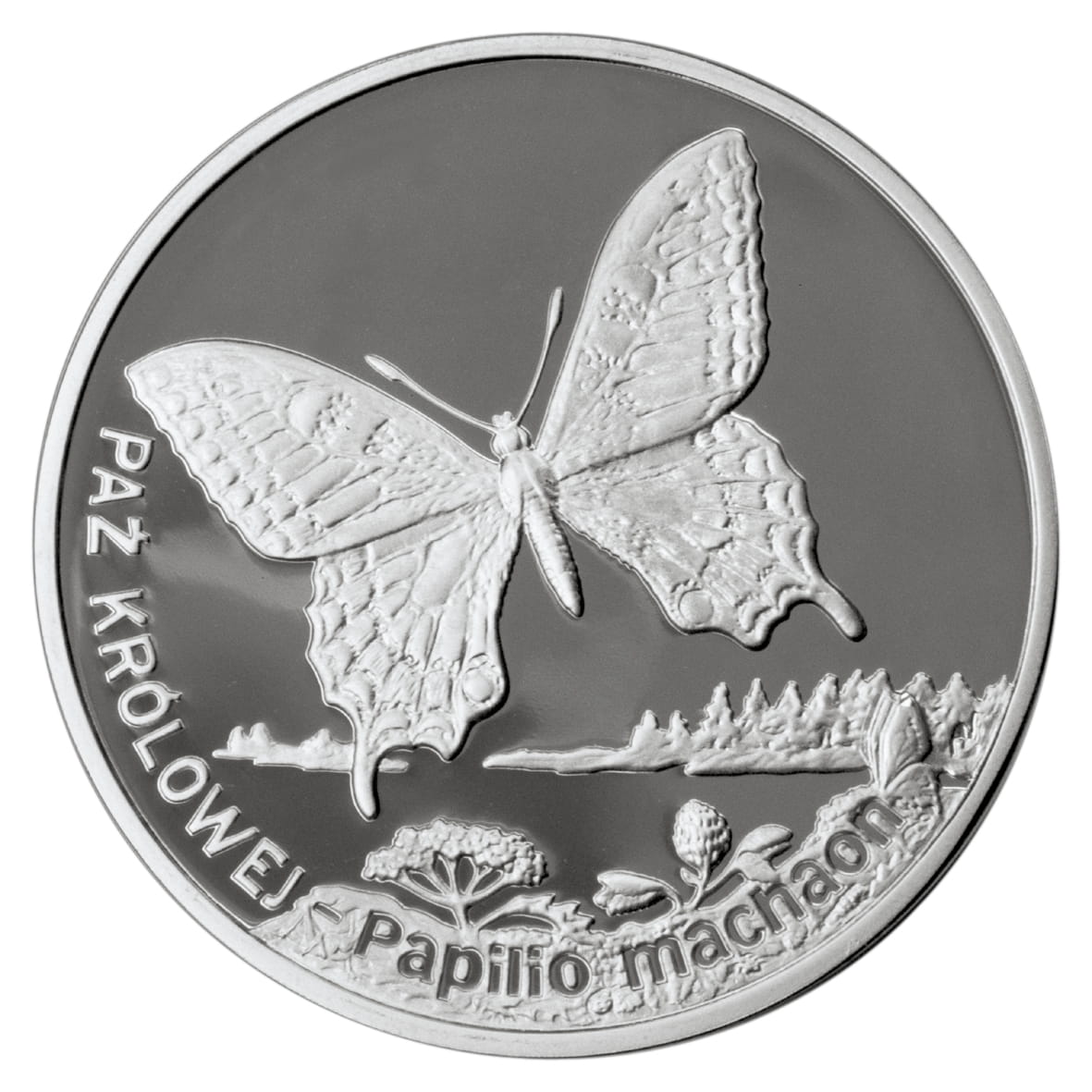 Moneta 20 zł Paź Królowej