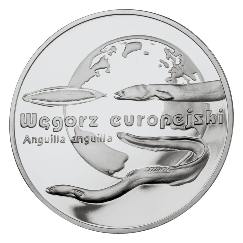 Moneta 20 zł Węgorz europejski
