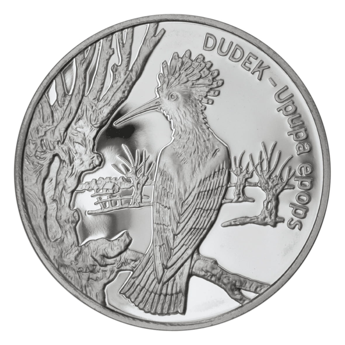 Moneta 20 zł Dudek
