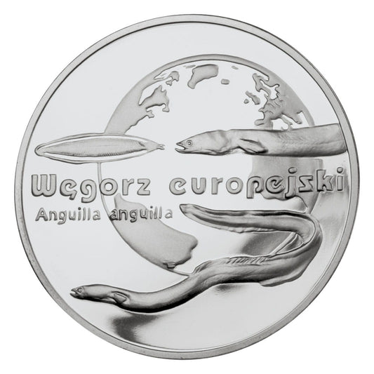 Moneta 20 zł Węgorz europejski