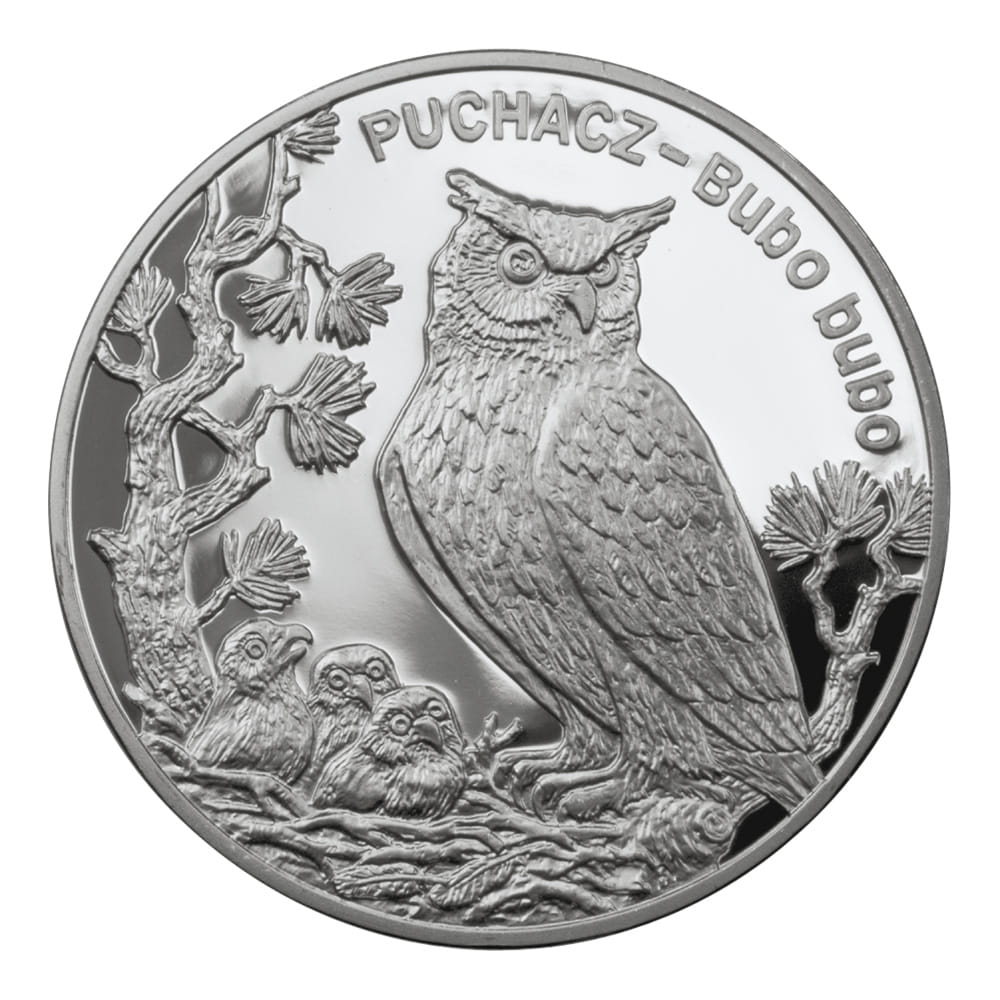 Moneta 20 zł Puchacz