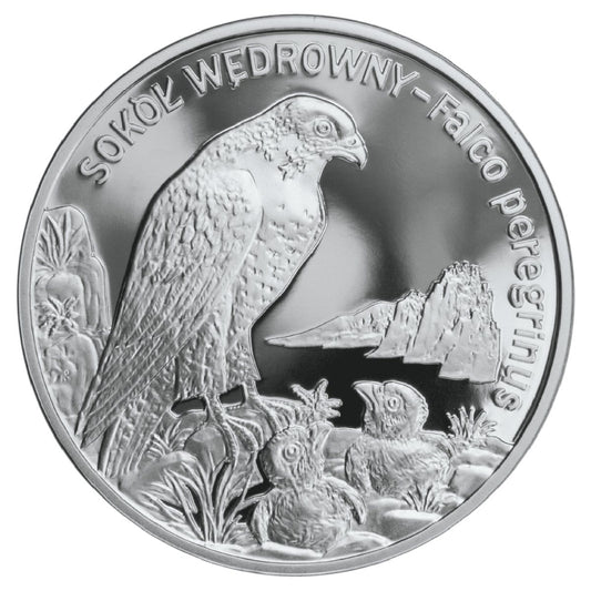 Moneta 20 zł Sokół wędrowny