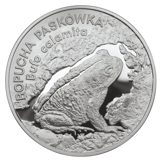 Moneta 20 zł Ropucha paskówka