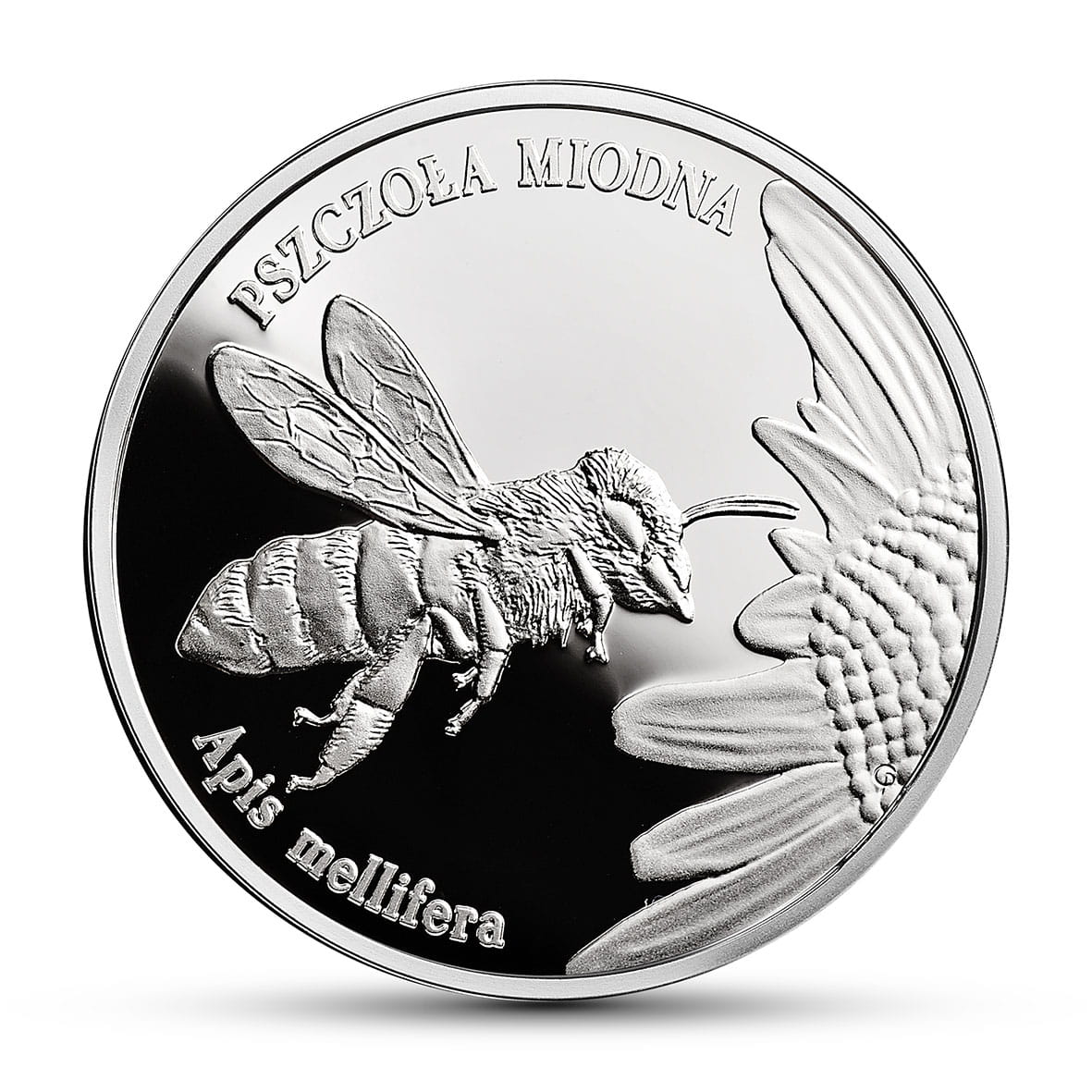 Moneta 20 zł Pszczoła Miodna