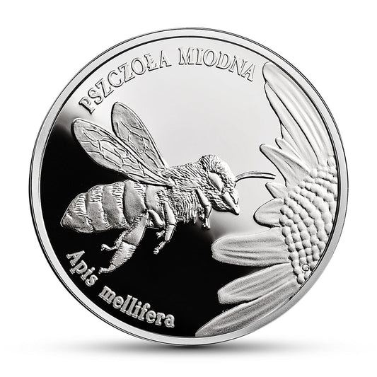Moneta 20 zł Pszczoła Miodna