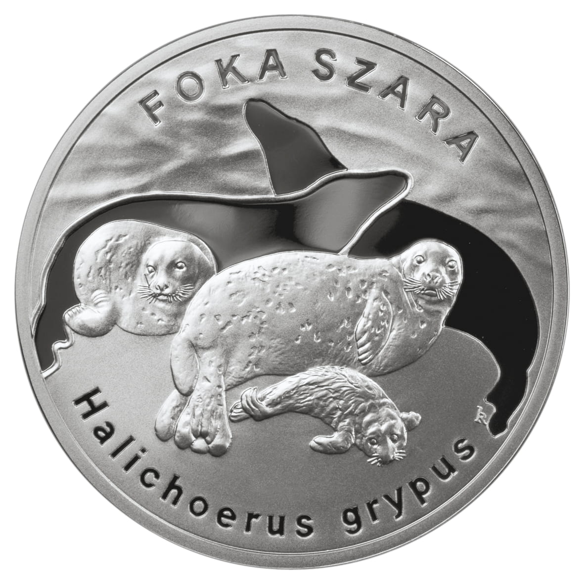 Moneta 20 zł Foka szara