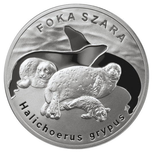 Moneta 20 zł Foka szara