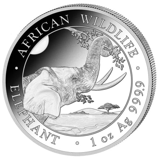 Słoń - Somalia - 2023 - 1 Uncja Srebra