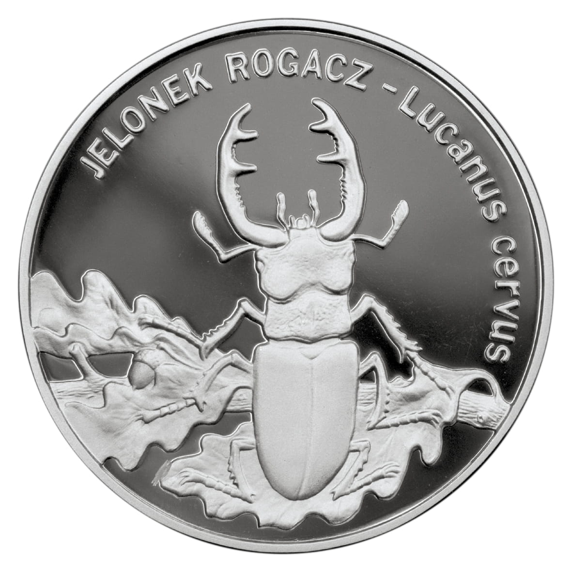 Moneta 20 zł Jelonek rogacz