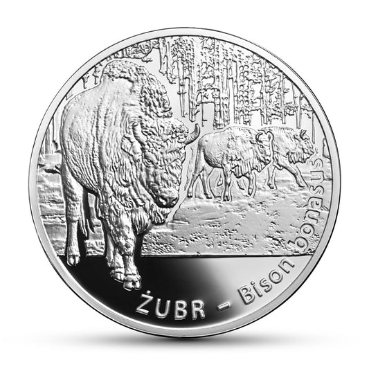 Moneta 20 zł Żubr